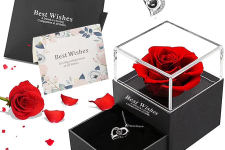 Preserved Red Real Rose with Heart I Love You Necklace，Eternal Flowers Rose Birthday Gifts for Women Her Mom Wife Girlfriend Grandma on Valentines Mothers Day Christmas Anniversary Romant