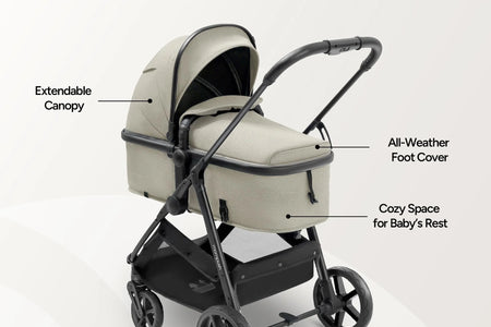 Wiz Carriola 2 En 1 Para Bebé Con Modo Moisés, Asiento Reversible Y Capota Grande, Caqui, 22.3 Lb, Unisex