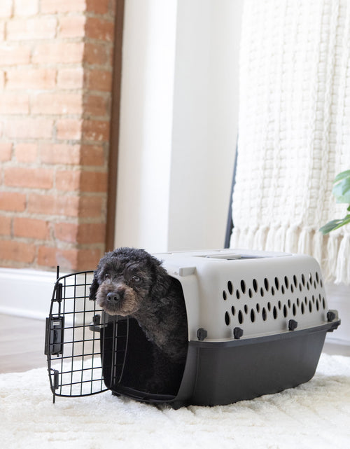 Load image into Gallery viewer, Transportín Portátil Para Perros, Transportador De Viaje Rígido, Duradero, Puerta De Metal, Negro Y Gris, Para Mascotas De Hasta 10 Lb, 19" L X 12.3" W X 10.8" H
