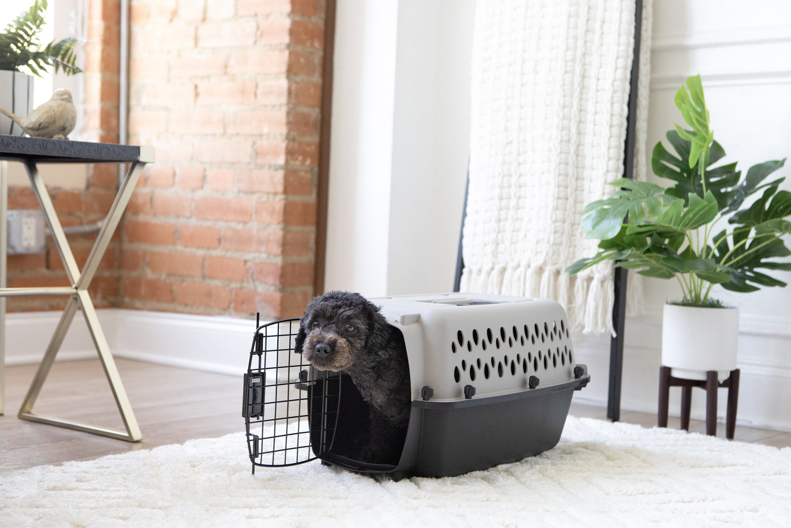 Transportín Portátil Para Perros, Transportador De Viaje Rígido, Duradero, Puerta De Metal, Negro Y Gris, Para Mascotas De Hasta 10 Lb, 19" L X 12.3" W X 10.8" H
